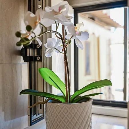 Oda ve Kahvaltı Cozy Napoli